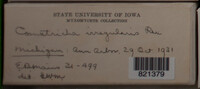 Image Associated With the Occurence